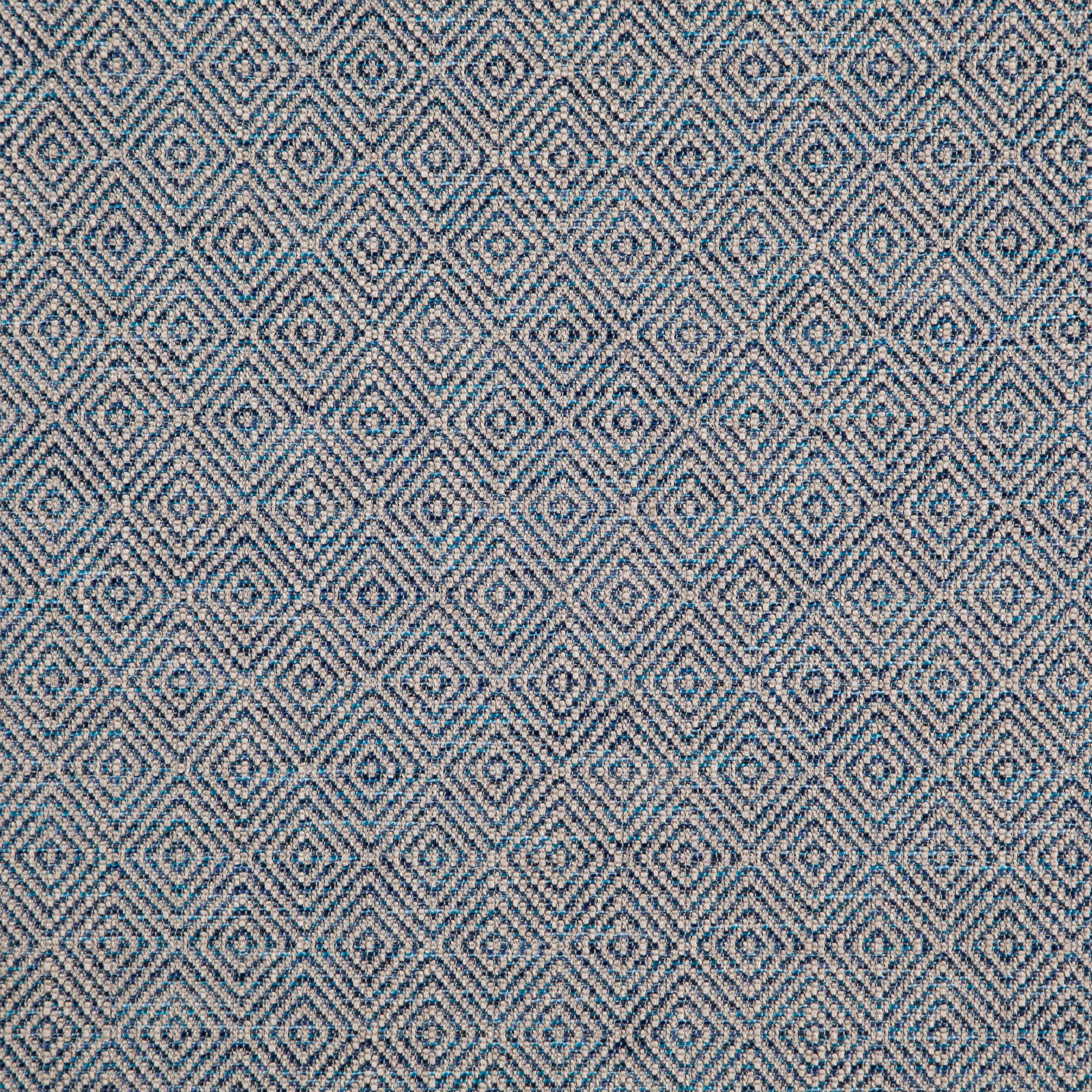 36900005