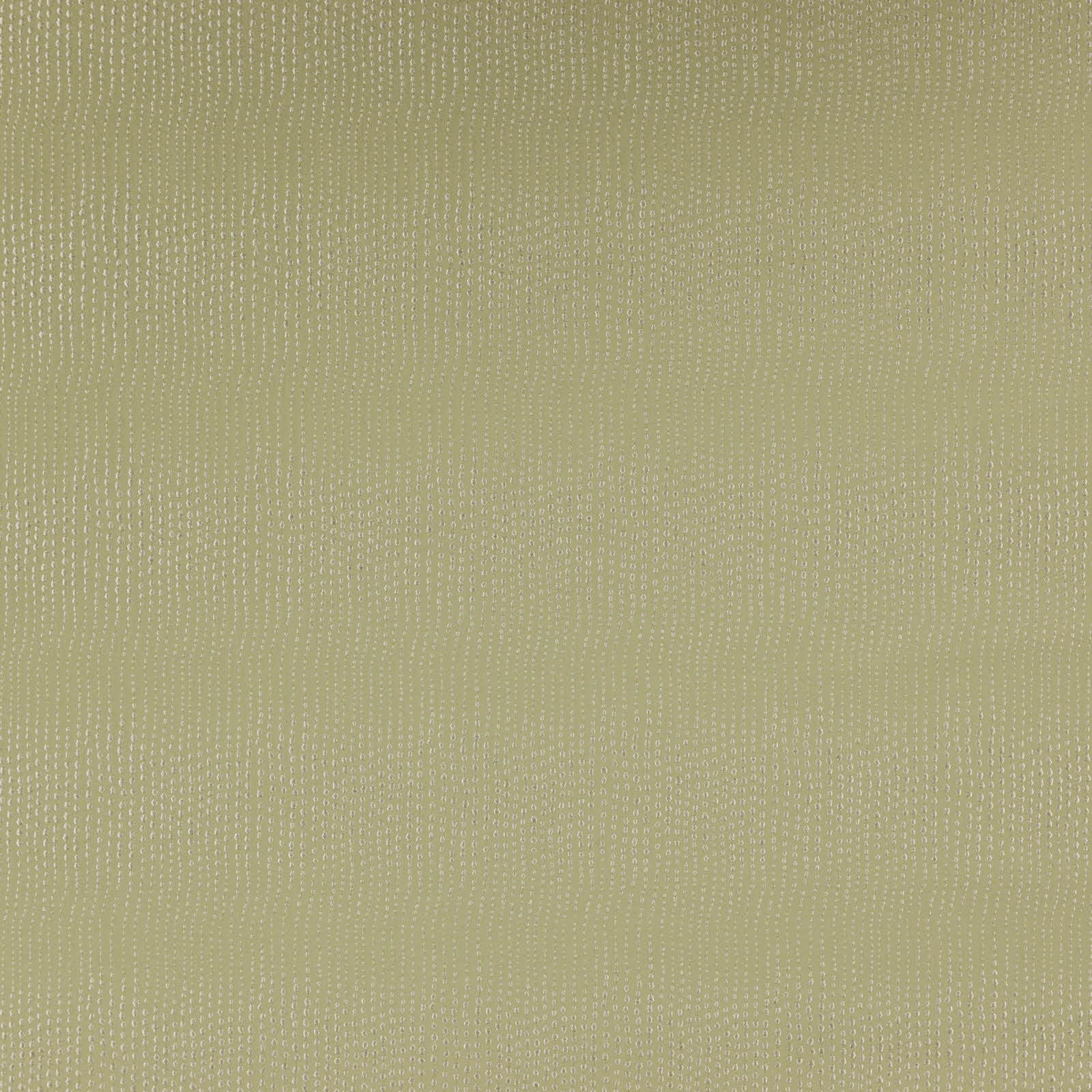 322_Avy_20_Avy_Fern